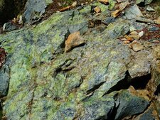 Serpentinite, défilé de Lancone, Corse