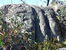 Kosciuszko National park, New South Wales