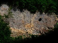 Carrière de Limburgite (Limberg, Kaiserstuhl)