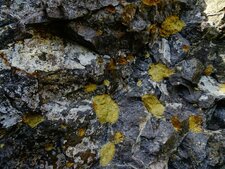 Nodules de Péridotite 