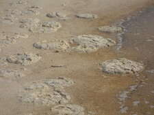 Lake Thetis, Western Australia