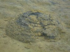 Lake Thetis, Western Australia