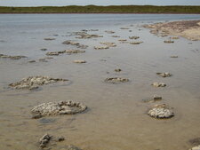 Lake Thetis, Western Australia