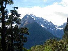 Milford Sound (NZ)