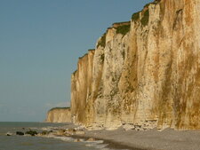 Falaise de craie