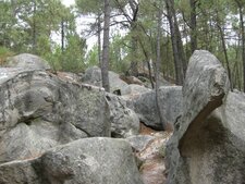 Chaos de Grès, Forêt des Trois Pignons