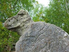 Grès de la Tortue, La Hotée du Diable, Environs de Coincy(02)