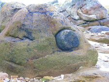 Enclave basique dans la granodiorite de Chausey