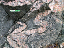 Migmatites du Tanargue