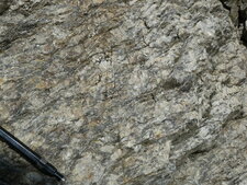 Orthogneiss de Fix (échantillon)