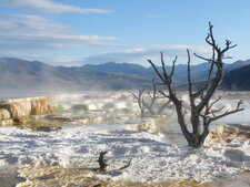 Mammoth Springs, Yellowstone N.P.