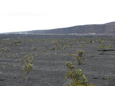 Caldera du Kilauea, Grande île d