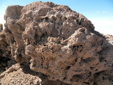 Stromatolithes