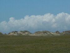 Arrière dune (baie d