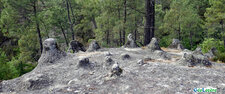 Tétines de Vernon