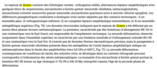 Micaschistes