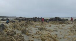 site de pegmatite, plougoulm