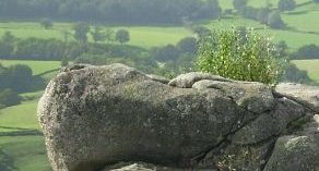 Un des rochers du chaos de Uchon