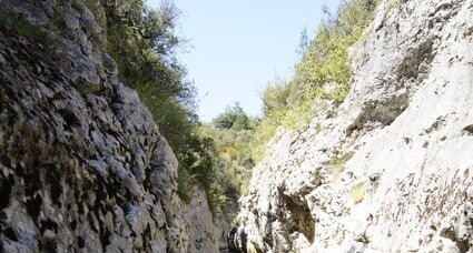 Gorges du Toulourenc