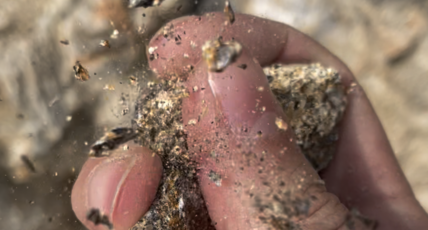 L'altération de la migmatite de Saint Nazaire