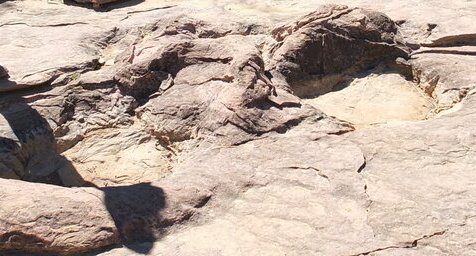 Empreintes de sauropode