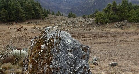 Bloc erratique gneissique proche de la laguna de Mucubaji