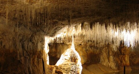 Stalactite dans la galerie du siphon - grottes de Choranche