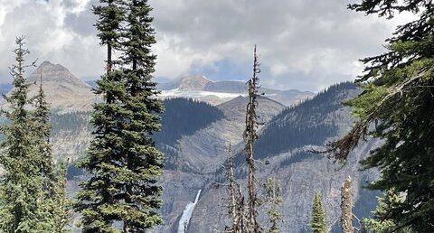 Takakkaw falls, chute alimentée par le glacier Daly dans le parc Yoho au Canada