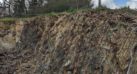 Schistes ardoisiers chlorito-micacés sombres, grès noirs à lamines