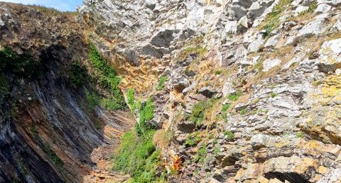 Crochon de faille (anse de Morgat)