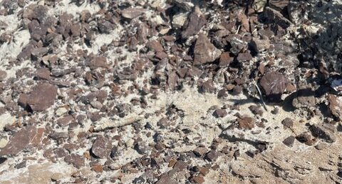 Vue précise de la roche ferreuse