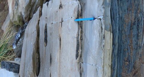 Flysch à silex de Guétary