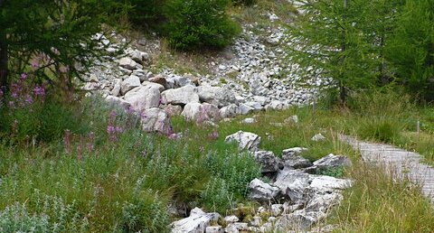 Source du Var (1780 m.)