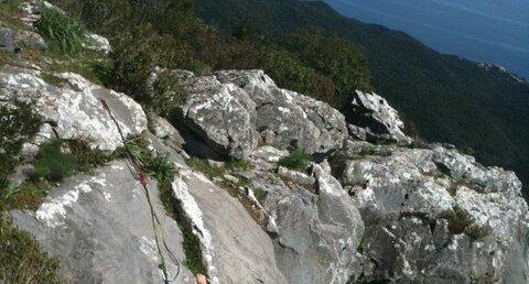 Rocher d'escalade calcaire