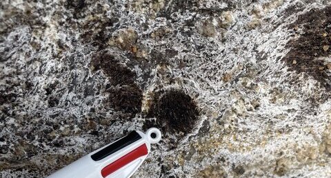 Amas de biotite dans les gneiss-migmatitites de Saint Nazaire