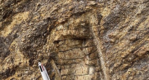 Autre structure de refonte dans la migmatite de Saint Nazaire