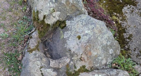 Microgabbros, diorites quartzifères de Cesson-Sévigné