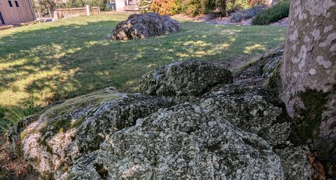 Conglomérats : Pouldingue de Gourin