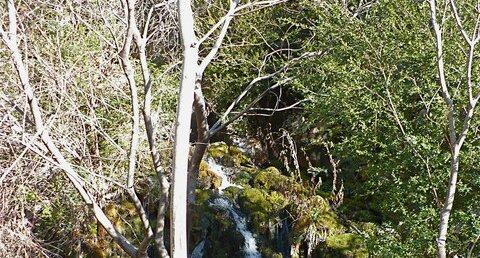 La source de Fontchaude