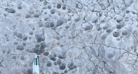 Dissolution ponctuelle, domaine karstique des Calanques