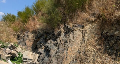 Schistes subardoisiers silteux sombres, chlorito-micacés