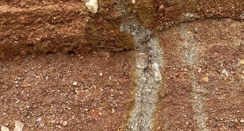 Altération chimique par les racines, à Pénestin