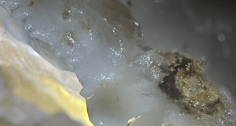 Détail de la cristallisation "en dents" de la calcite d'une draperie (…)