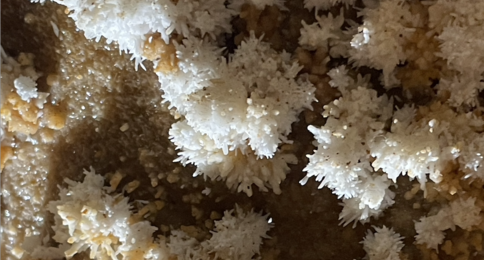 Zoom sur l'aragonite présente à la grotte de Maxange