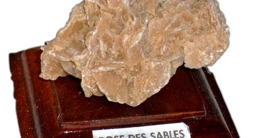 Rose des sables