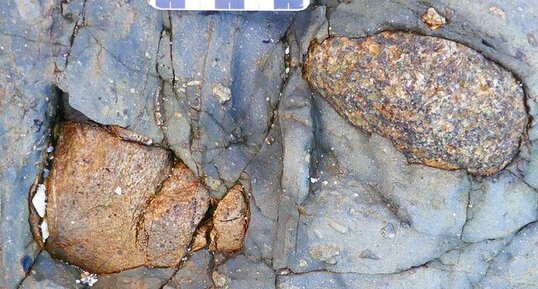 Conglomérat "matrice porté" avec deux gros clastes de granite rose.