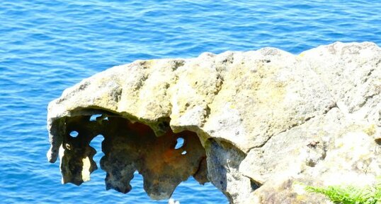 Taffoni dans les grès du flysch éocène basque