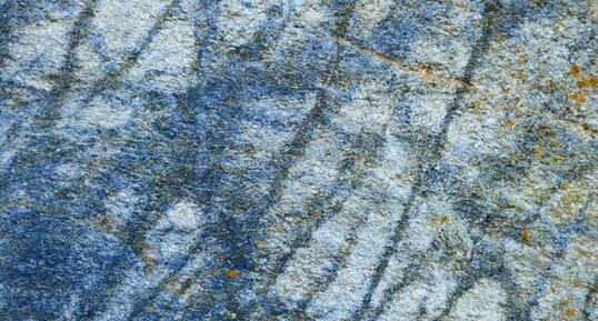 "Diorite" de Cambernon dans un mur de la Mairie