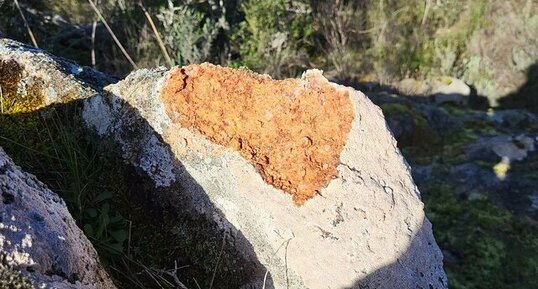 Corse - Cauro - Muratello - Granite Perthitique Hastingsite-Fayalite