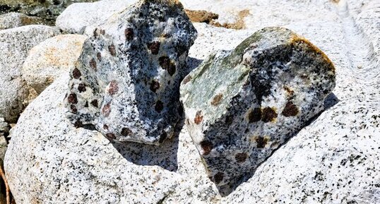 Monzogranodiorite à grenats